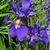 Stephanie Price's profile image