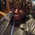 Jania Bunn's profile image