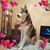 Pam Lauerman's profile image
