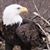 Denise Rychlik's profile image