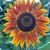 Carla Shultz's profile image