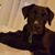 Tracy Moran's profile image