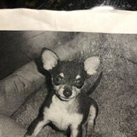 Joan N Joan's profile image