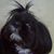 Amy Anne's profile image