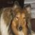 Gail Partsch's profile image