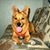 Pam Caylor Kellebrew's profile image