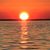 Kim Schwebach's profile image