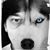 Brian R. Steinruck's profile image