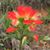 Susan Robertshaw's profile image