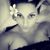 Marty Lilith Pellegrinelli's profile image