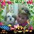 Pam Haas's profile image