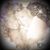 Andrew N Dawn Moser's profile image