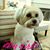 Alice Faye's profile image