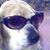 Joseph Paul Hoffmaster's profile image