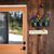 Judy Hanstad Robinson's profile image