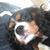 Angela Ammons's profile image