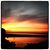 Matthew Koon's profile image
