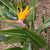 Madge Lovingood's profile image