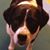Beth Cunningham's profile image