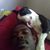 Clifton Davis's profile image