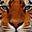Denysse Perez's profile image