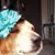 Margaret Melican's profile image