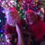 Marion Andrea's profile image