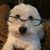 Erin Dumas Owens's profile image
