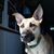 Jennifer Keysar's profile image