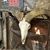 John Sloan's profile image