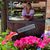 Patty Whetstine Westpfahl's profile image