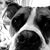 Velvet Atkinson-Fuller's profile image