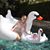 Terri Myers Clark's profile image