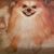 Mary Fischer's profile image
