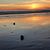 Cherish Mcelroy Colbert's profile image