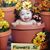 Marilyn Pudol's profile image