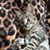 Donna Pinillos's profile image