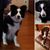 Geralyn Kipp's profile image