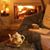 Elysia M. Herz's profile image