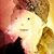 Shannon Gale's profile image