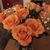 Paula Marckese Massey's profile image