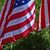 Patricia Clark Collins's profile image