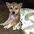 Cindy Clark Winkler's profile image