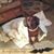 Tracy Myers's profile image