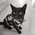 Pamela Hurban's profile image