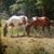 Carol Shell McMillian's profile image