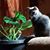 Lori Gardner-Oliver's profile image