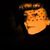Sara Marie Hogg's profile image