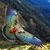 Kea Cassella's profile image