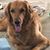 Cathy Switzer's profile image